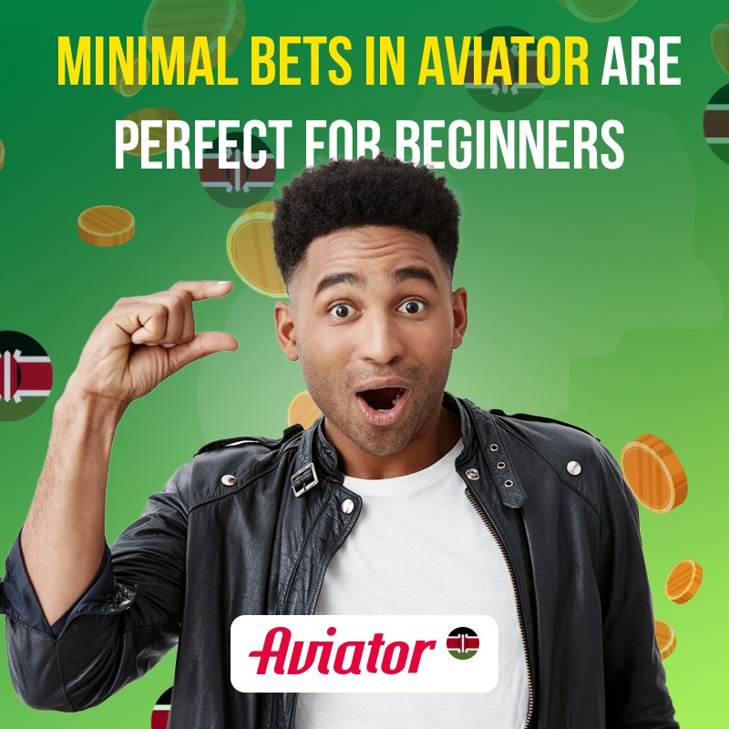 Make Aviator bets to test your skills and luck